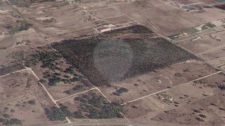 Land for sale in Benavente, Portugal — €14,000,000