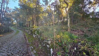 Land for sale in Ansião, Portugal — €30,000