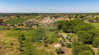 Terreno em Mora