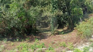 Terreno para venda em Marco de Canaveses, Portugal — 12 000 €