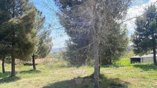 Land for sale in Chaves, Portugal — €75,000