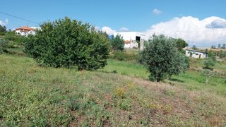 Land for sale in Sertã, Portugal — €35,000