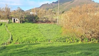 Terreno em Vila do Porto