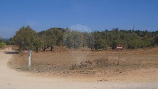Land for sale in Torres Novas, Portugal — €7,500