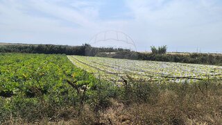 Land for sale in Sintra, Portugal — €95,000