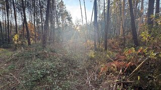 Land for sale in Batalha, Portugal — €6,000