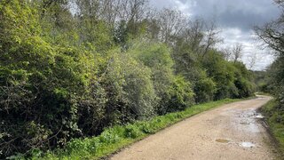 Land for sale in Soure, Portugal — €12,500