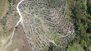 Terreno em Braga