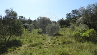 Land for sale in Torres Novas, Portugal — €70,000
