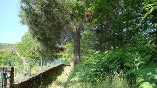 Terreno · 1093 m² · 79 000 €