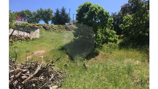 Land for sale in Pinhel, Portugal — €15,000
