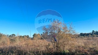 Land for sale in Condeixa-a-Nova, Portugal — €17,000