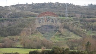 Terreno de 20 000 m² em Guarda