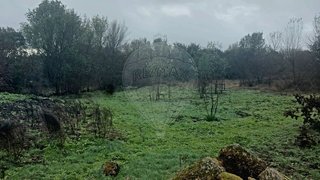 Land for sale in Penamacor, Portugal — €11,350