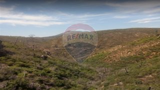 Land for sale in Mação, Portugal — €23,000