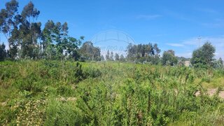 Land for sale in Santo Tirso, Portugal — €750,000