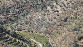 Land for sale in São João da Pesqueira, Portugal — €26,000