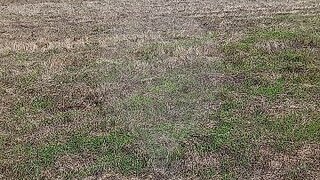 Land for sale in Montijo, Portugal — €1,280,000