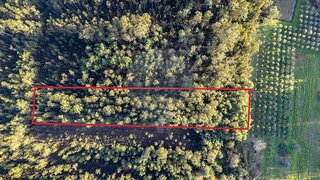 Land for sale in Cantanhede, Portugal — €4,608
