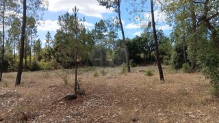 Terreno para venda em Abrantes, Portugal — 9600 €