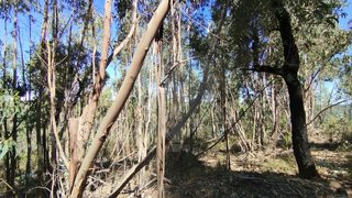Land for sale in Sardoal, Portugal — €10,000