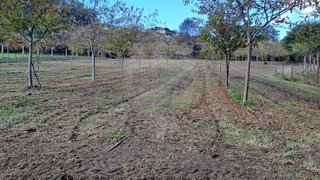 Terreno em Arcos de Valdevez