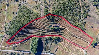 Terreno em Penela · 50 000 m² · 585 000 €