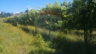 Land for sale in Arcos de Valdevez, Portugal — €82,000