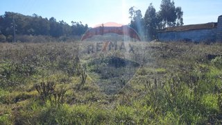 Land for sale in Pombal, Portugal — €95,000