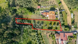 Land for sale in Anadia, Portugal — €39,000