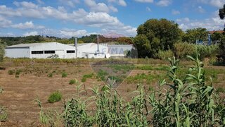 Land for sale in Pombal, Portugal — €35,000