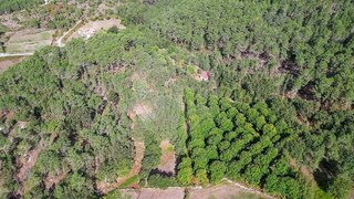 Terreno para venda em Mondim de Basto, Portugal — 69 000 €