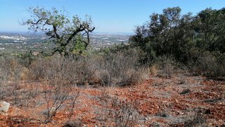Terreno de 1210 m² em Faro