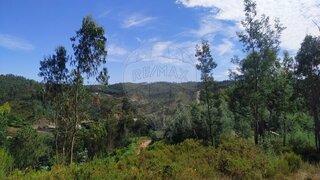 Land for sale in Figueiró dos Vinhos, Portugal — €20,000