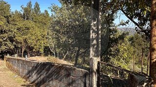 Land for sale in São Pedro do Sul, Portugal — €9,000