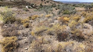 Land for sale in Alcoutim, Portugal — €12,211