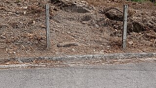 Land for sale in Cinfães, Portugal — €66,500