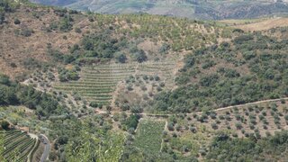 Land for sale in São João da Pesqueira, Portugal — €31,000