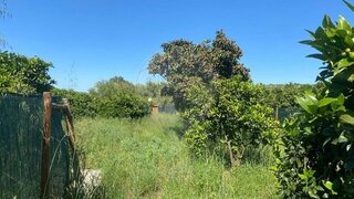 Land for sale in Silves, Portugal — €55,000
