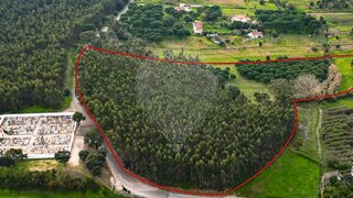 Land for sale in Azambuja, Portugal — €65,000