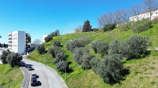 Terreno em Abrantes