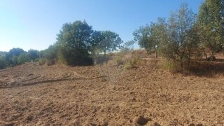 Land for sale in Abrantes, Portugal — €6,000