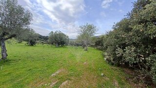 Land for sale in Vila Nova de Foz Côa, Portugal — €40,000