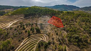 Land for sale in Carrazeda de Ansiães, Portugal — €35,000