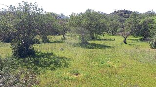 Land for sale in Loulé, Portugal — €37,000