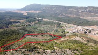 Land for sale in Azambuja, Portugal — €49,000