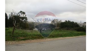 Land for sale in Alcobaça, Portugal — €28,000
