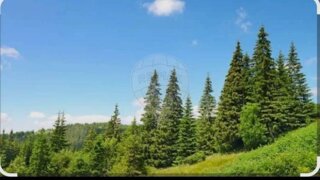 Land for sale in Vila Nova de Gaia, Portugal — €298,000