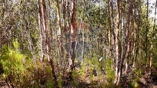 Land for sale in Ferreira do Zêzere, Portugal — €10,000
