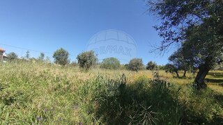 Land for sale in Abrantes, Portugal — €29,000